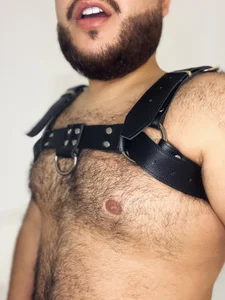 RoyBaker_ Arnés Foto 7