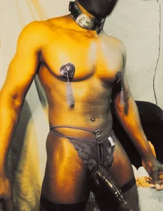 DR-ANIMAL Public รูป  5