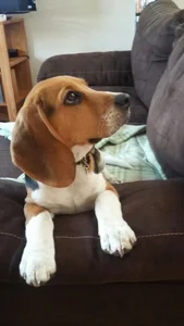 ferdinad20 Smile!!! 사진 3