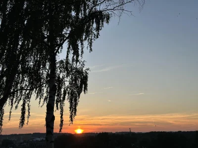 _Sandra__ World 사진