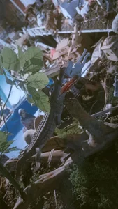 hancock-boa December 2025 was....🌞🖤💃🏻🎇🎆🔥🤟🏻🎊🎉🥳 Pic 6