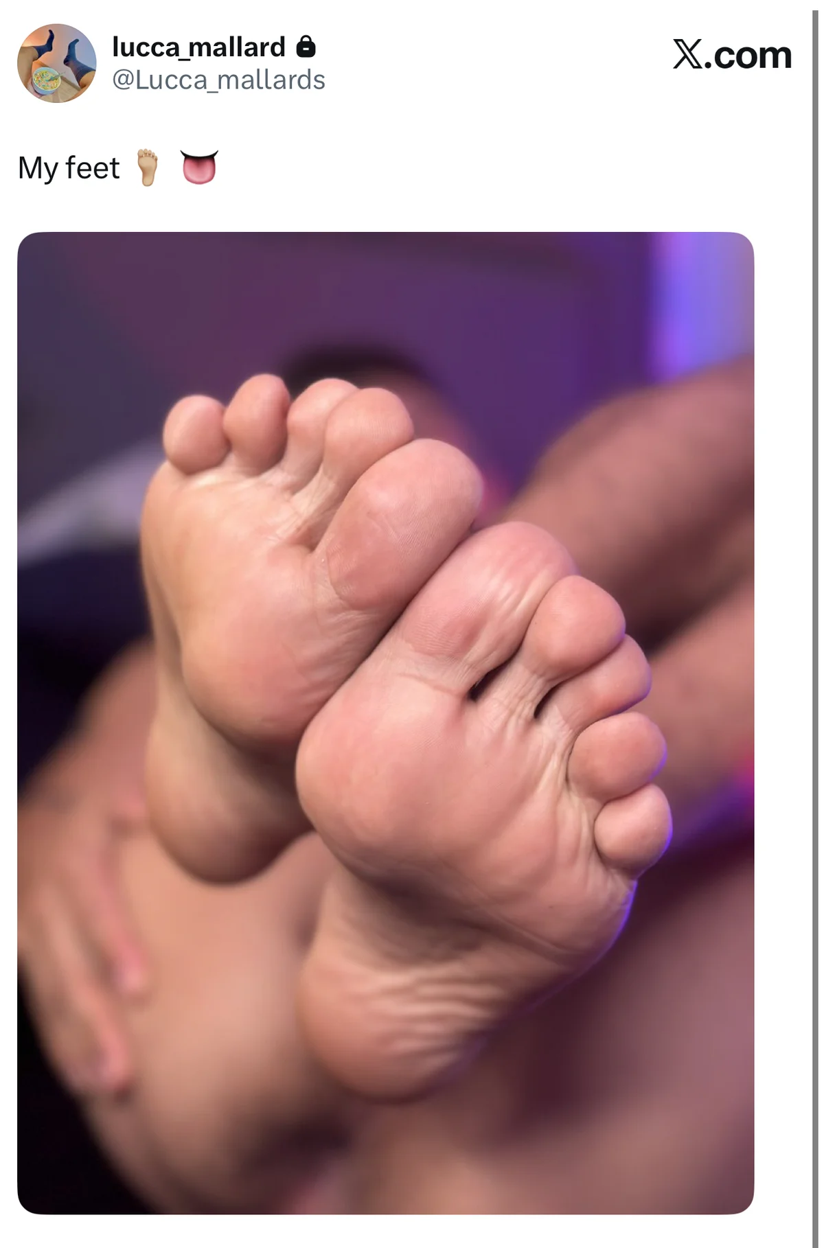 LuccaMallard Popularna fotka 1095