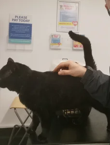 theSmallest-dick Animals Pic 7