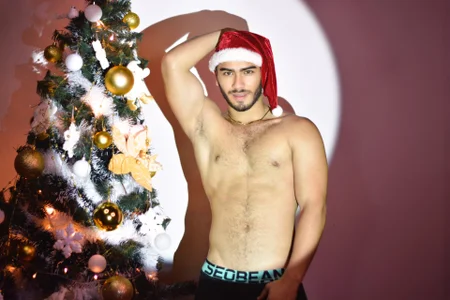 Franco_banderas navidad Pic 7