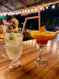 amandaconner Amazonas - Isla de los Micos Pic 2