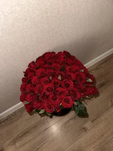 Veronica_Larsson Life Moments Εικόνα 5