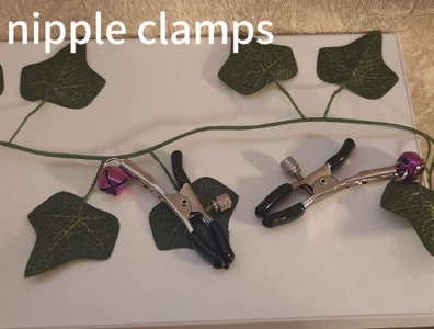 Ashley_Nicks My toy collection Pic 5