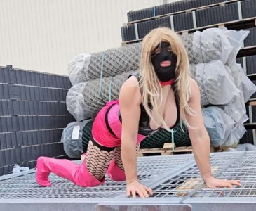 me de babsisteel1  5 Imagens