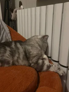 End of the working day 😁 de luna_berryy  Imagens