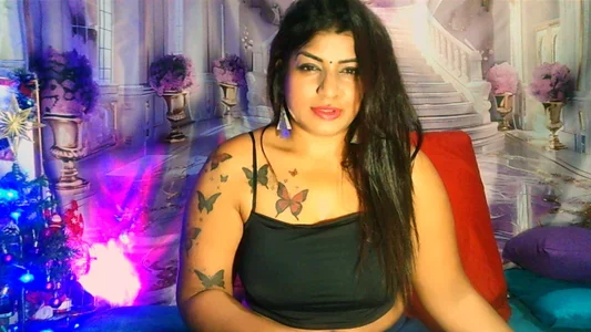 RoyalIndianCreamPuff1 black Bilde