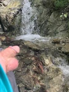 40Cakes Public 圖片 4