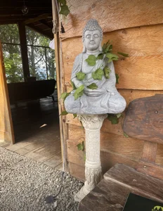 Felicity_Hops ⛰️ Billede 2