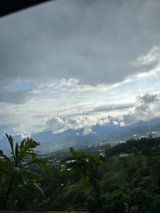 thecherry_Paulette kullanıcısının Dumb pics 🤌🏼 albümü -  2 fotoğraf