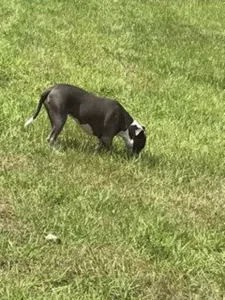 bottombeargaming THE ONLY WOMAN FOR ME Pic 6