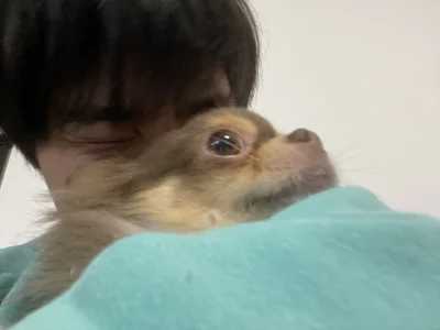 mumin08雰囲気图片 5