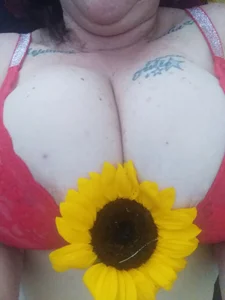 Olgahunder hunder Bilde 2