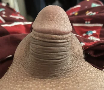 Gary5653 kullanıcısının I shaved winky albümü -  3 fotoğraf