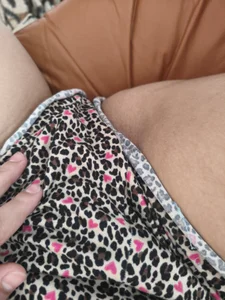 SquiffySearcher Public Pic