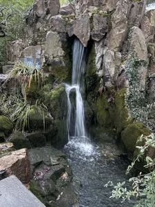 Tommy_Lidds China park 🌴🍃 Hình 6