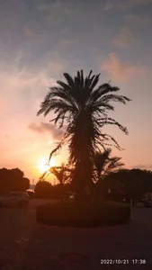 _Sandra__ Happiness টি ছবি