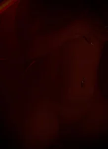 catha_cat Red night Εικόνα 4