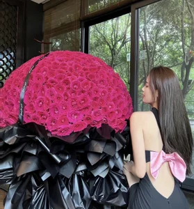 LuLu-Moon Public صورة واحدة|LuLu-Moon Public صورتان|LuLu-Moon Public  2 صور|LuLu-Moon Public  2 صورة