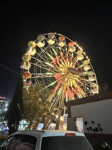 BigcurvedleftsidePublic图片