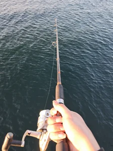 Jason_snow_winchesterPublic图片 9