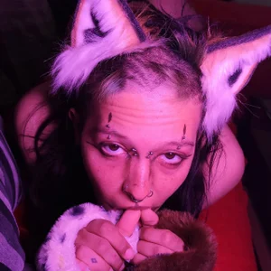 Miaw de aguitaecoco  photos