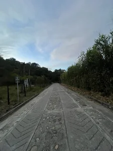 Latino_Junge 🏍️🌳 টি ছবি