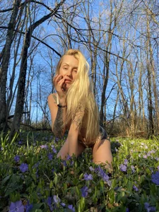wildforestmuse_ Public Bilde 5