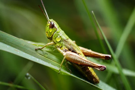 WallisZen's photo