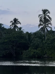 Annycolin_ Palomino - Colombia 🇨🇴 Pic 7