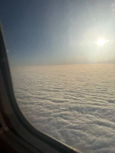 FroggyAnna on my way✈️ Immagine  2