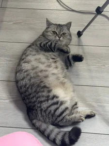 ShaiyaMinn3 Bun صورة واحدة|ShaiyaMinn3 Bun صورتان|ShaiyaMinn3 Bun  صور|ShaiyaMinn3 Bun  صورة