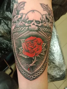 Public de Mokey-D  7 Imagens