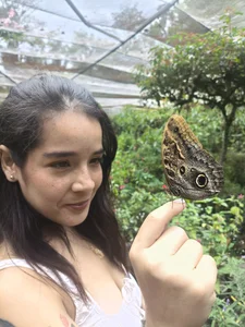 NathySweet Butterfly Garden Immagine  9