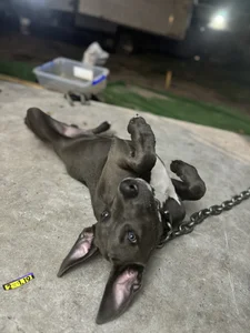 hotNReady6969 Public Immagine  5