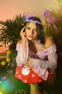 Silk_Princee fairy garden 🪴 🧚‍♀️ Εικόνα 2