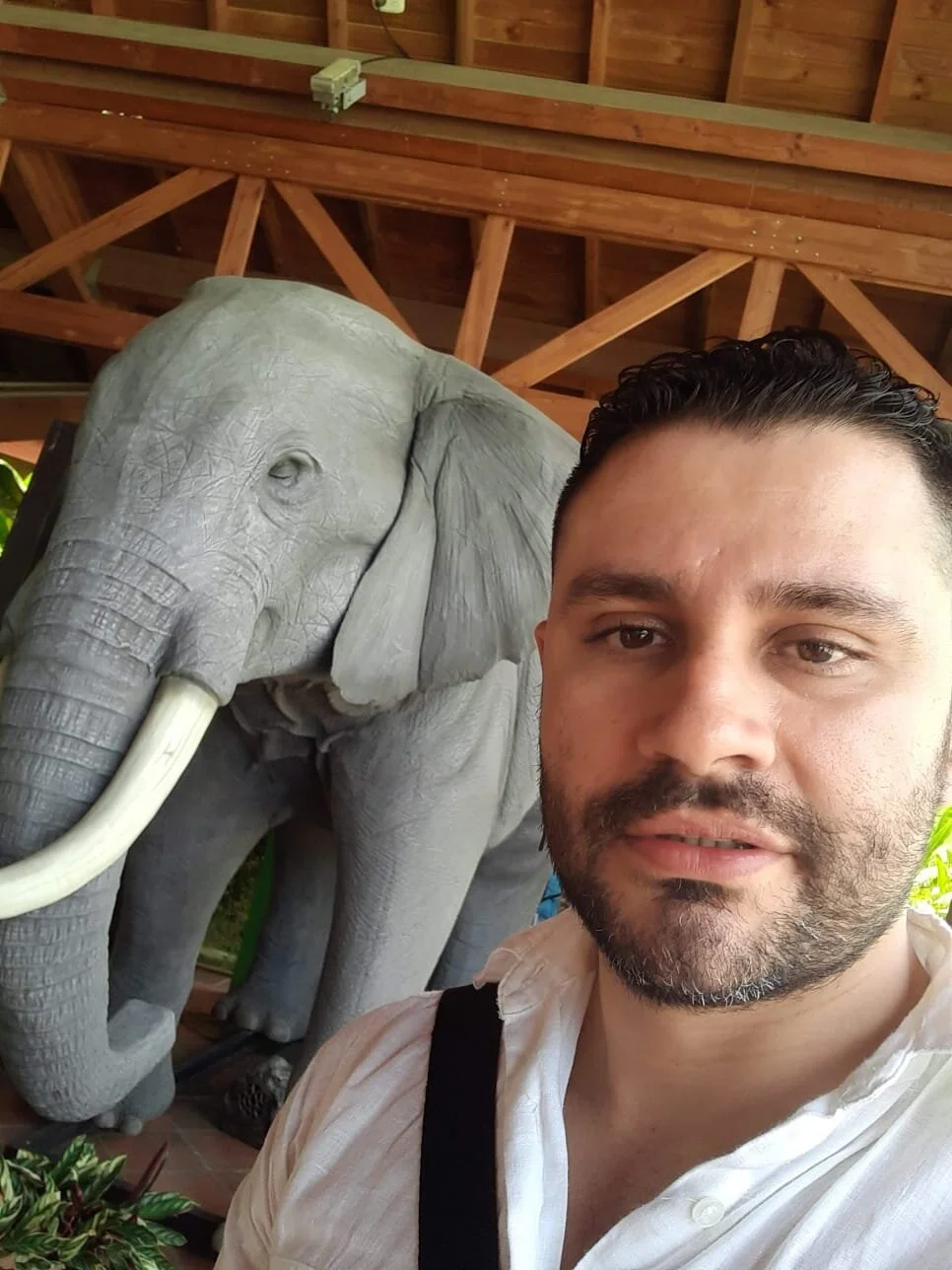 jonasbeards adlı kullanıcının viral fotoğrafları:  8766