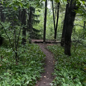 A walk in nature de Milly_Young  3 Imagens