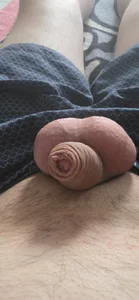 Mi penis de Strangerid  5 Imagens