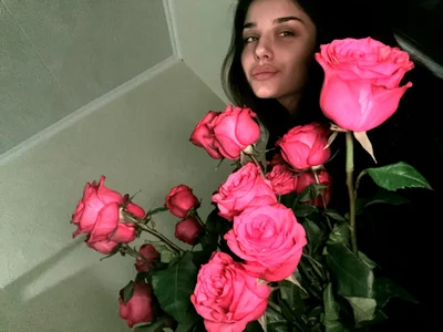 ScarletSi Roses . fénykép