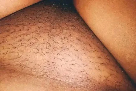 LaHoity Public Bilde