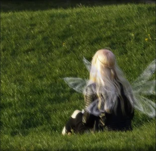 Zdjęcia EffacedScan Public:  7