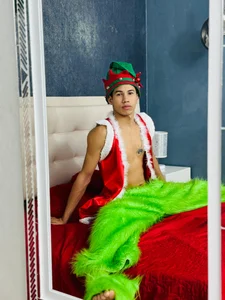 Erick_Zhimerman Christmas in Green 사진