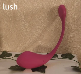 Ashley_Nicks My toy collection Pic 6