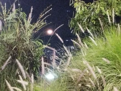 mis312aal aire libre Bild 3