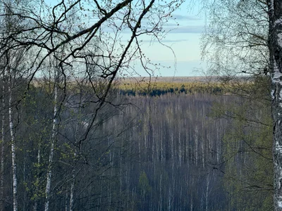 AlexFH life is beautiful slika 2