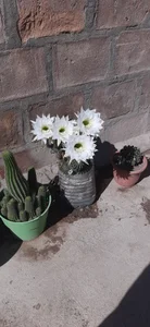 Zdjęcia Parejahot534 Public:  5